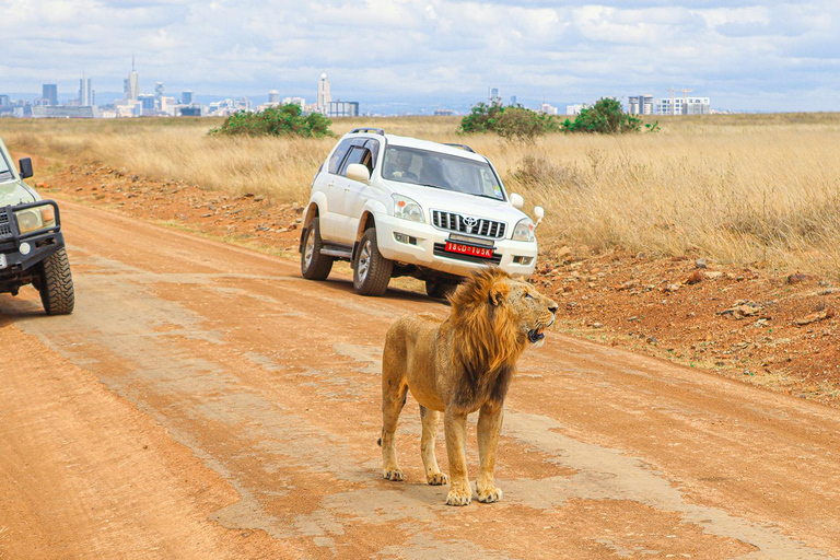 Prywatna wycieczka do Parku Narodowego Nairobi