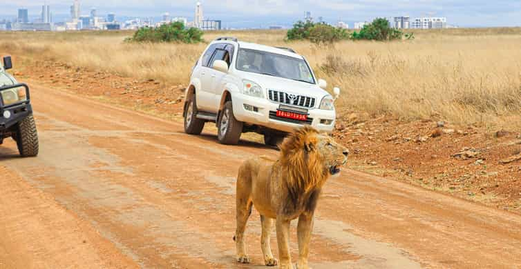 Nairóbi:Tourparticularpeloparquenacionalemum4x4