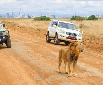Nairobi: National Park Private Tour in 4X4 Jeep