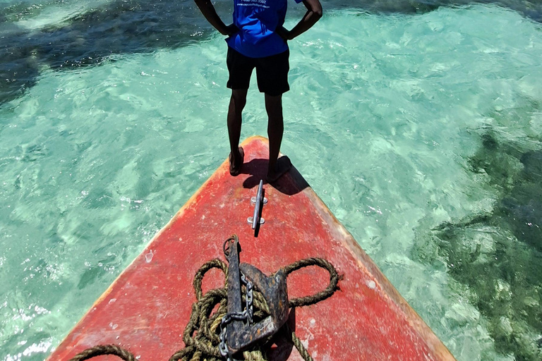 Glass Bottom Nylon Pool Tour in Buccoo Reef