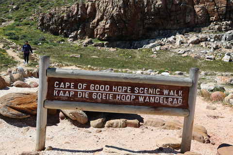 Cape Town: Table Mountain, Penguins & Cape Point Group Tour