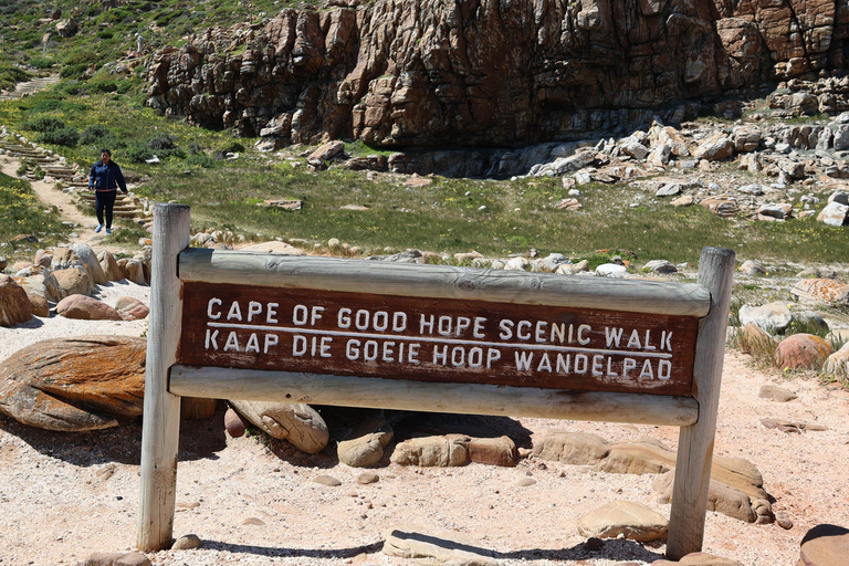 Cape Town: Table Mountain, Penguins & Cape Point Group Tour