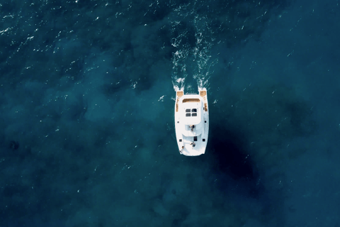 Waikiki Exclusive Snorkel + Lunch