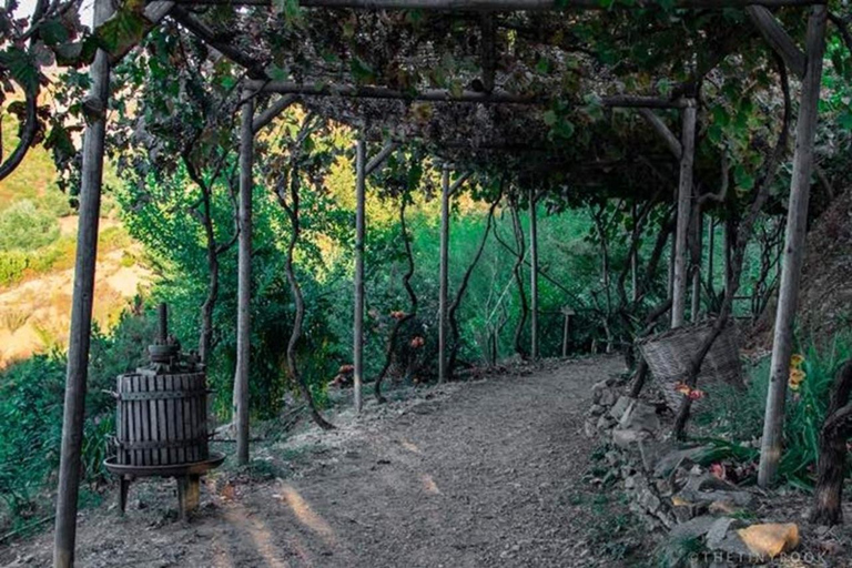 Kreta: Botanisches &amp; Bergabenteuer mit lokalem Essen