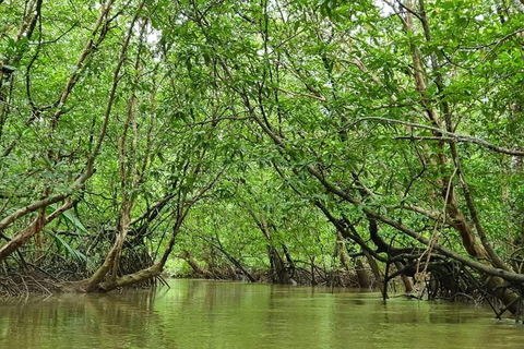 Khao Lak: The Little Amazon Thajood Tourism community