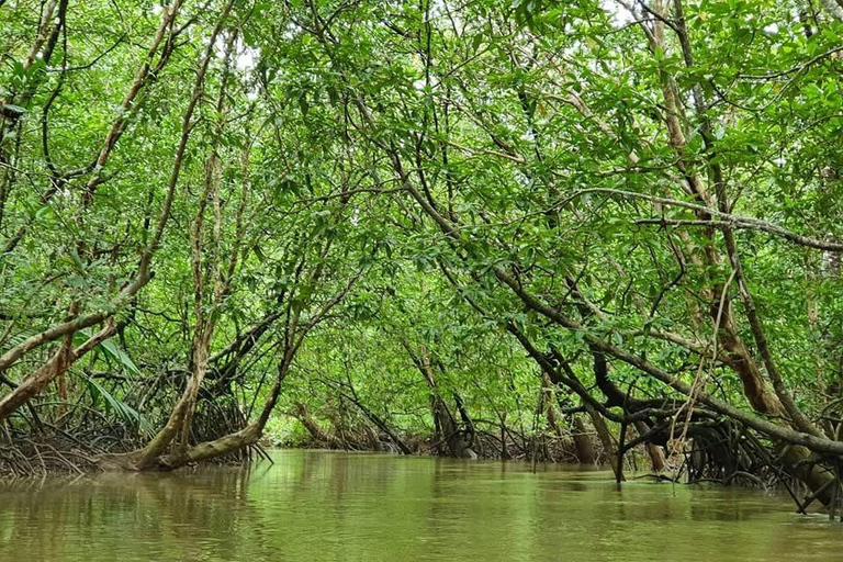 Khao Lak: The Little Amazon Thajood Tourism community