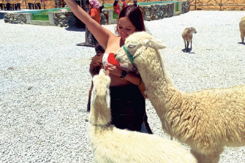 Medellín: Guatapé and Medellín City Door-to-Door Transfer Door-to-door transfer from Medellín to Guatapé.