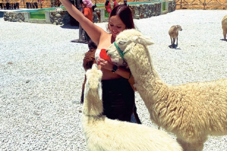 Medellín: Guatapé and Medellín City Door-to-Door Transfer Door-to-door transfer from Medellín to Guatapé.