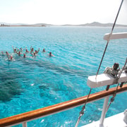 Von Mykonos: Kreuzfahrt nach Delos und Rhenia mit Mittagessen