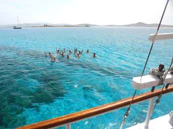 Von Mykonos: Kreuzfahrt nach Delos und Rhenia mit Mittagessen
