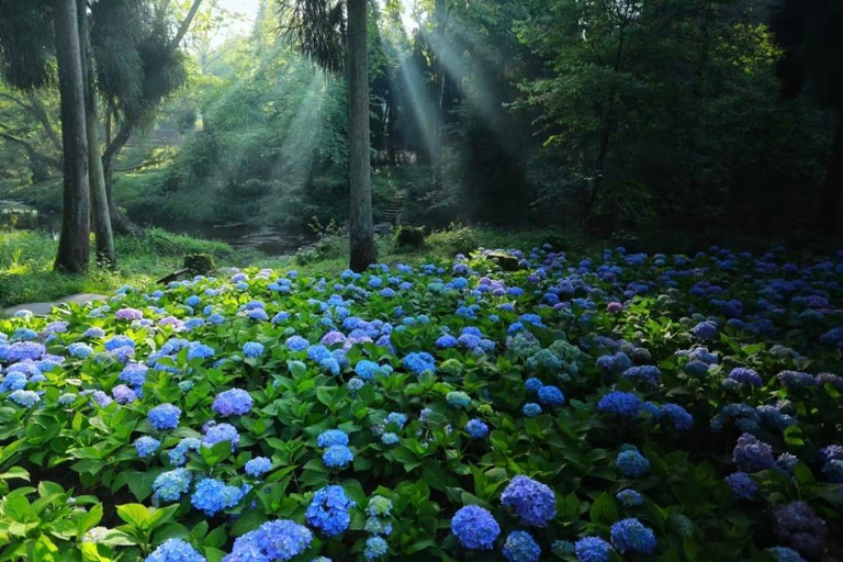 Sichuan: Tiantai Mountain Scenic Area Entry Ticket Tiantai Mountain Scenic Area Entry Ticket