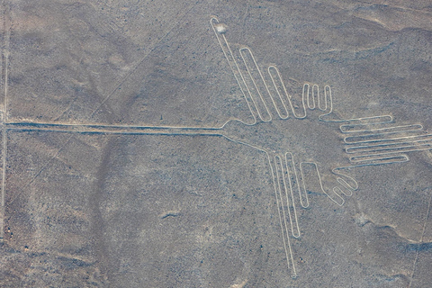 From Lima: Nasca Lines Full Day Overflight From Lima: Nasca Lines Full Day Overflight solo traveler