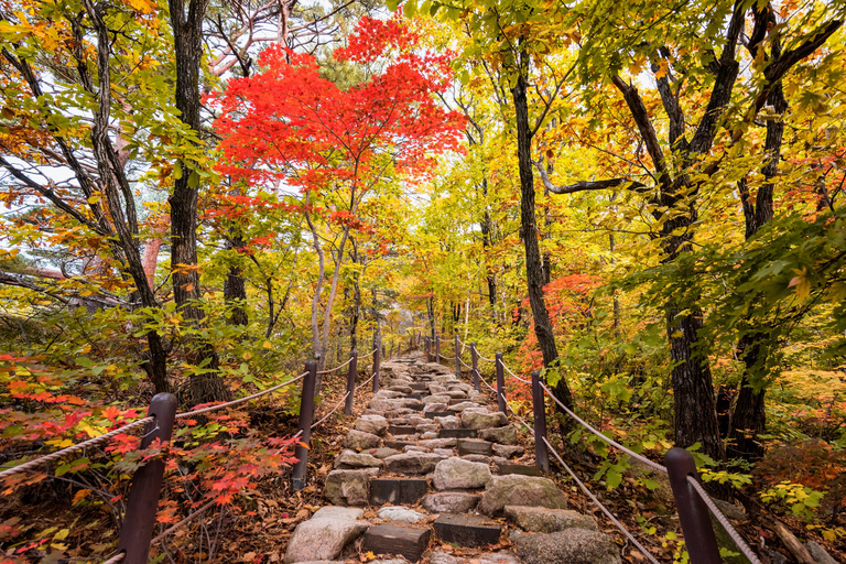 Seoraksan Hiking: Ulsanbawi, Biryong Falls & Finisher Gift B) Hiking Only Shared Tour, Meet at Mt. Seorak
