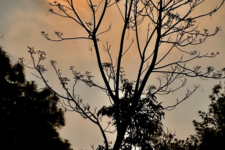 Kathmandu: Nascer do sol em Nagarkot e caminhada até Changunarayan