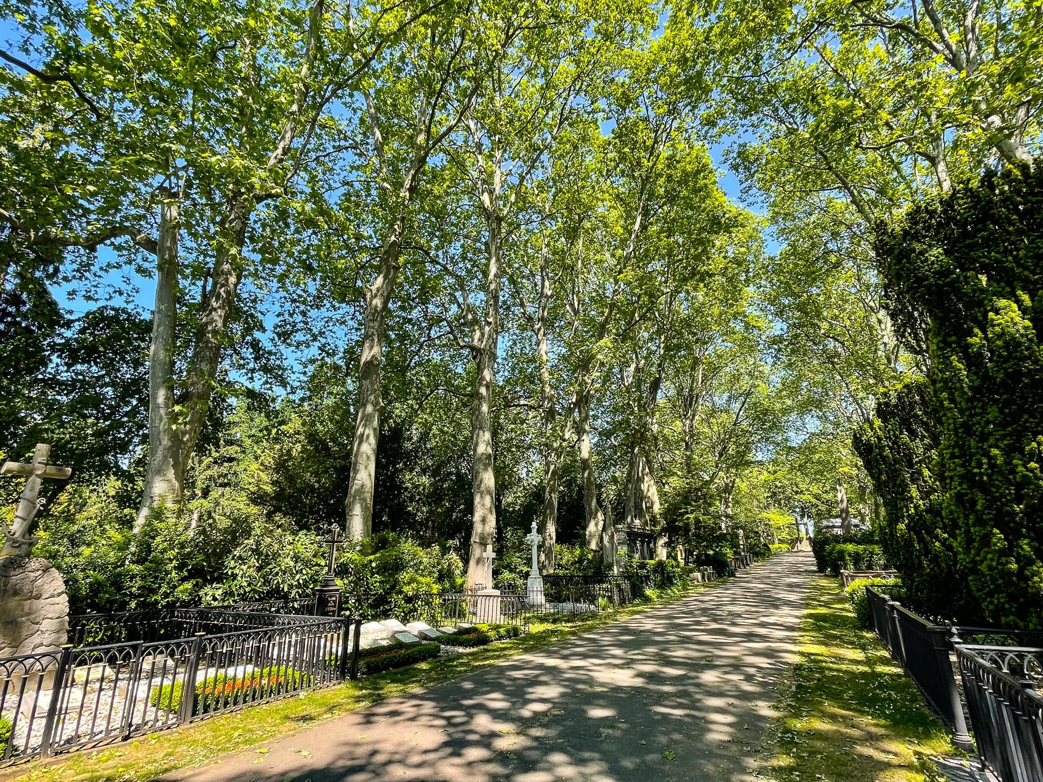 Köln: Führung über den Melatenfriedhof