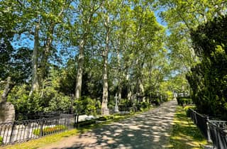 Köln: Führung über den Melatenfriedhof