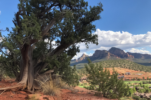Sedona: Guided Vortex Jeep Tour
