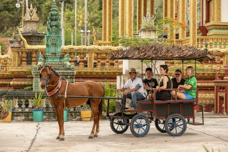Siem Reap: Private Horseback & Horse-Drawn Carriage Rides (1 hour) Horseback Ride