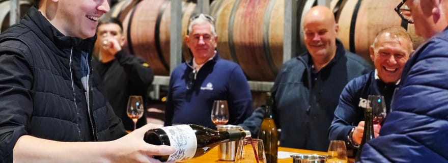 Melbourne: halfdaagse wijntour in de Yarra Valley in kleine groep