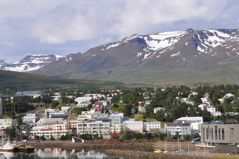 Akureyri Port: Small Group Godafoss & Laufas Tour - Cruises
