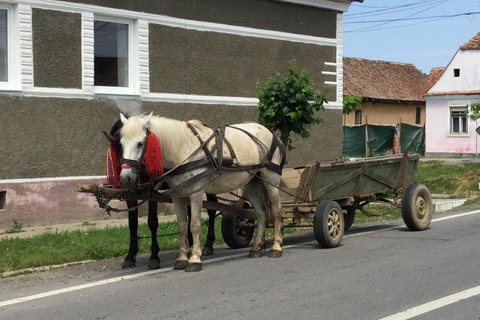 Transylvania: 2-Day Castles, Brasov & Transfagarasan