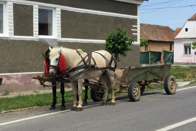 Transylvania: 2-Day Castles, Brasov & Transfagarasan