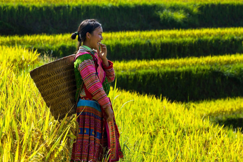 Mu Cang Chai 2 Days Tour Trekking Terraced Rice Field