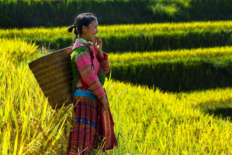 Mu Cang Chai 2 Days Tour Trekking Terraced Rice Field