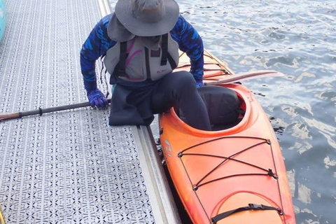 The Woodlands, Texas: Adaptive Paddling Guided Eco-Tour