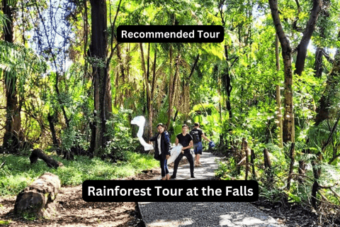 Victoria Falls : Must Do Guided Tour of Mosi Oa Tunya Open end at rainforest cafe