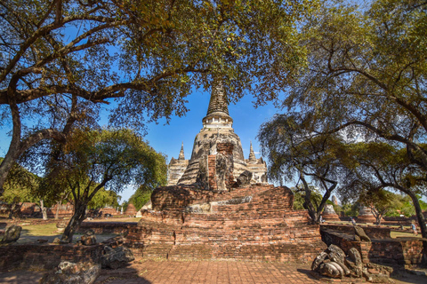 Bangkok: Tour guiado particular em Ayutthaya com traslado do hotel