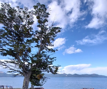 Excursão low cost aos lagos de Ushuaia