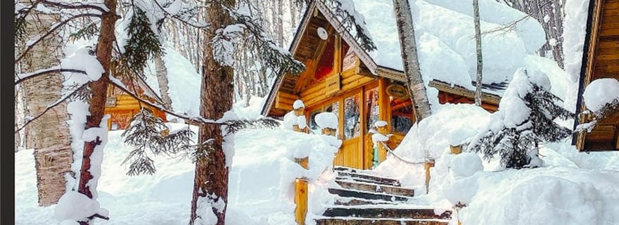 Sapporo : excursion au zoo d'Asahiyama et aux chutes de Shirahige (avec prise en charge)