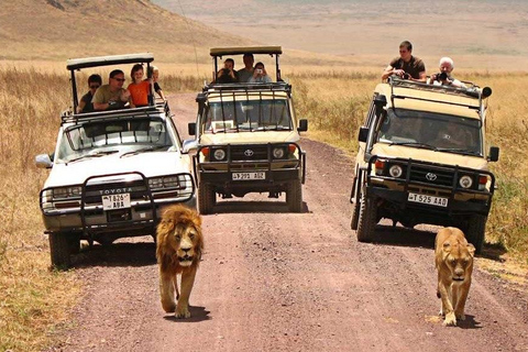 Safari de luxe de 2 jours depuis et vers Dar es Salaam avec vol