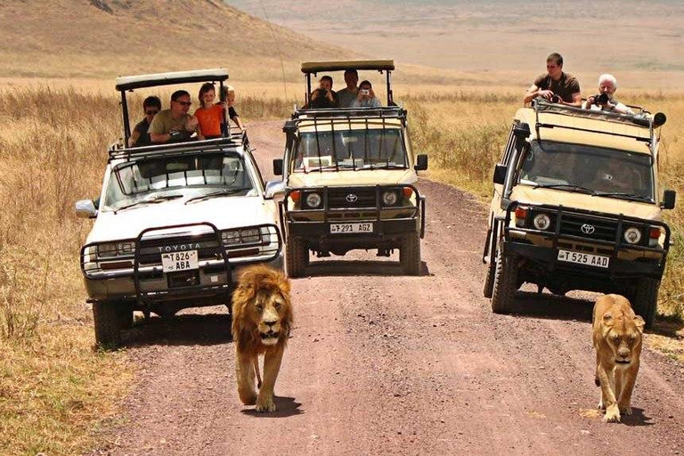 2 Days Tarangire and Ngorongoro Mid Luxury Safari & Flights