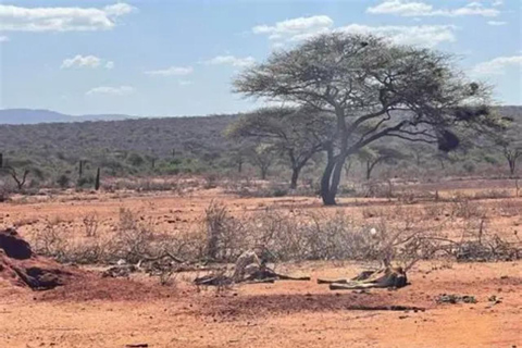 Day Trip to Lake Magadi from Nairobi