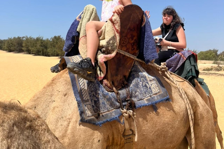 Lac Rose: full day trip with quad or 4x4, horseback riding, and lunch Pink Lake: Full Day Trip with ATV or 4x4, Horseback Riding, and Lunch