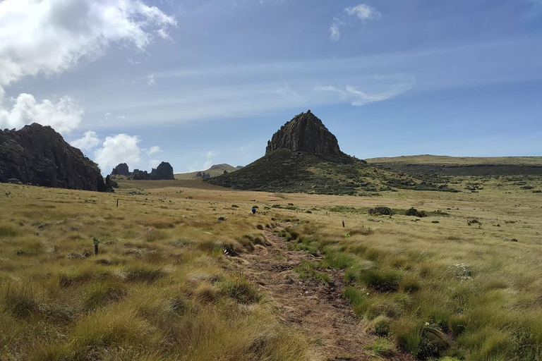 Aberdare Highlands: North to West Trekking Experience