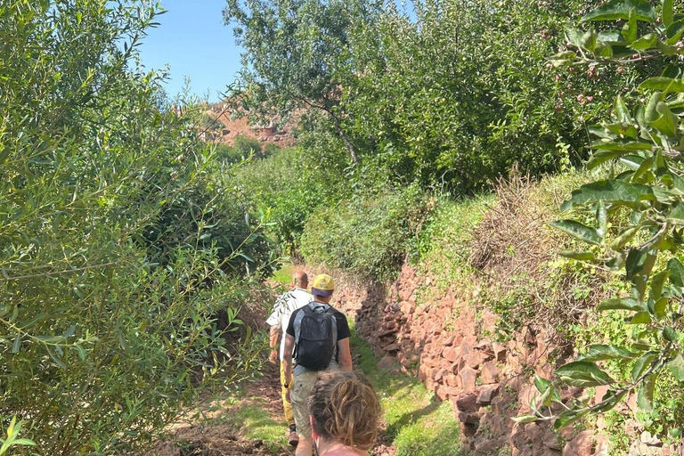 Excursion d'une journée dans les montagnes de l'Atlas depuis Marrakech