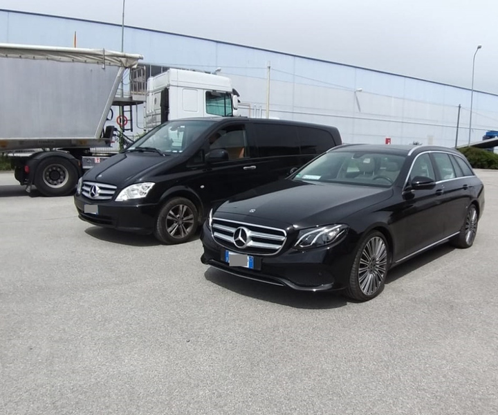 Belgrade Nikola Tesla Airport (BEG): Transfer to Belgrade