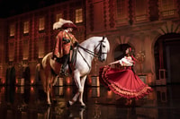 Puy du Fou，1天入场票 - Housity