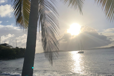 Culinary Adventure Walk on St. John: Food Tour & More!