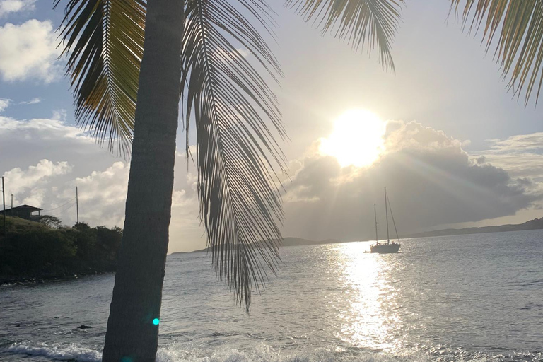 Culinary Adventure Walk on St. John: Food Tour & More!