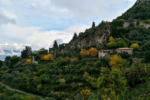 Mystras kasteelstad, Sparta, Olijf Museum Privé Dagtour