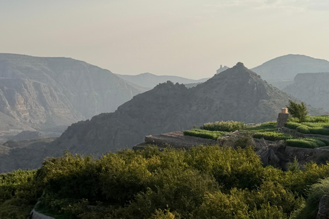From Muscat: Nizwa & Jabal Akhdar with Multilingual Guide