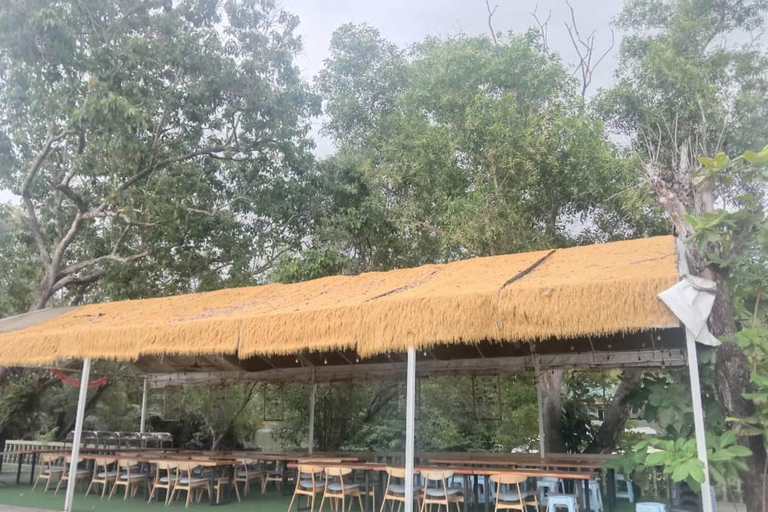 Sabah: Kawa Kawa Private River Cruise w/ Monkeys & Fireflies