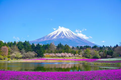 From Tokyo: Mount Fuji Private Day Trip with Driver