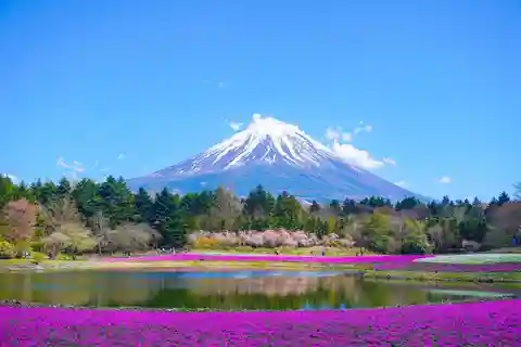 From Tokyo: Mount Fuji Private Day Trip with Driver