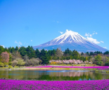 De Tóquio: Viagem de 1 dia ao Monte Fuji com motorista