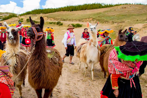 Depuis Cusco : Trekking à dos de lama